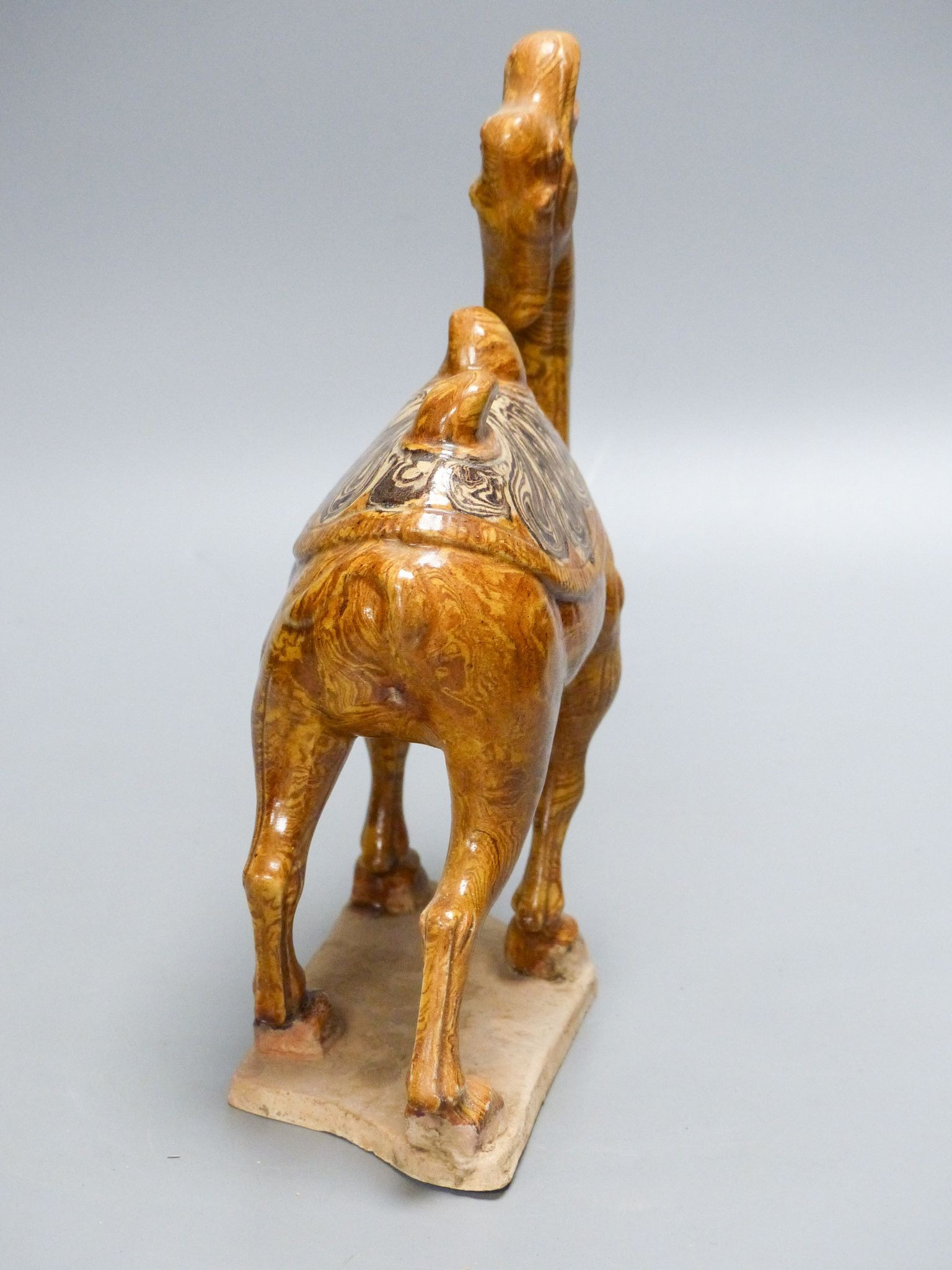 A Chinese Tang style jiaotai glazed pottery figure of a bactrian camel, 24.5 cm high